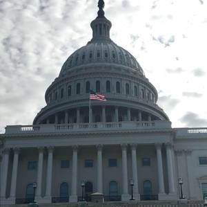 Meet your Posher, Brenton